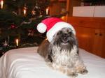 1. Weihnachten zu Hause, 003 1. Weihnachten zu Hause, 003