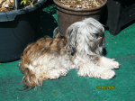 2015-05-31, Kein Durchblick 01 2015-05-31, Kein Durchblick 01