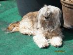 2015-05-31, Kein Durchblick 02 2015-05-31, Kein Durchblick 02