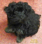 Don, 2015-10-22, 001 Don, 2015-10-22, 001