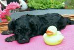 Don, 2015-07-28, 004 Don, 2015-07-28, 004