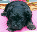 Don, 2015-07-28, 009 Don, 2015-07-28, 009