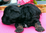 Don, 2015-07-28, 008 Don, 2015-07-28, 008