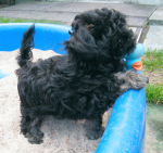 Don, 2015-09-16, 001 Don, 2015-09-16, 001