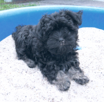 Don, 2015-09-16, 002 Don, 2015-09-16, 002