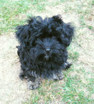 Don, 2015-10-06, 001 Don, 2015-10-06, 001