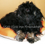 Don-Tobi, 2016-01-07, 05 Don-Tobi, 2016-01-07, 05