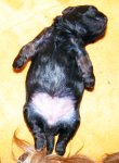 Dascha, 2015-07-19, 001 Dascha, 2015-07-19, 001