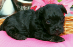Dascha, 2015-07-28, 004 Dascha, 2015-07-28, 004