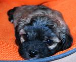 ISKRA, 2019-10-30, 03 ISKRA, 2019-10-30, 03