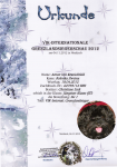 4. Titel, VIK, Internationale Grenzlandsiegerschau 2012, SG1