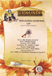 09. Titel, VDHC Dreiländer-Champions-Cup 2013