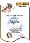 Auszeichnung Best of Show 2012, Platz 2 Auszeichnung Best of Show 2012, Platz 2