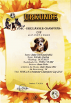 1. Titel: VDHC Dreil�nder-Champions-Cup 2013