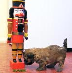 Elija, 2015-12-24, 05 Elija, 2015-12-24, 05
